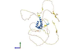 Protein Structure (PS) image for Homeobox B3 (HOXB3) (AA 1-431) protein (His tag) (ABIN7548453)