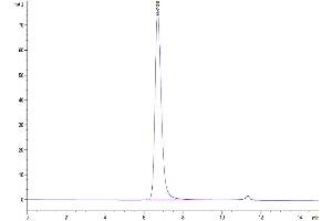 Size-exclusion chromatography-High Pressure Liquid Chromatography (SEC-HPLC) image for CD3 epsilon (CD3E) (AA 22-48) protein (Fc-Avi Tag) (ABIN7274134)