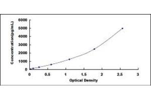 Typical standard curve (MMRN2 ELISA Kit)