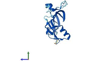 Protein Structure (PS) image for MORN Repeat Containing 5 (MORN5) (AA 1-161) protein (His tag) (ABIN7549525)