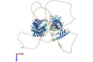 PLK4 Protein (AA 1-925) (His tag)