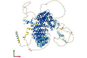 Protein Structure (PS) image for Splicing Factor 3b, Subunit 1, 155kDa (SF3B1) (AA 1-1304) protein (His tag) (ABIN7564916)