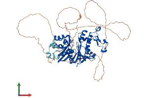 Protein Structure (PS) image for Pantothenate Kinase 1 (PANK1) (AA 1-598) protein (His tag) (ABIN7550598)