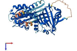 SERPINB13 Protein (AA 1-391) (His tag)