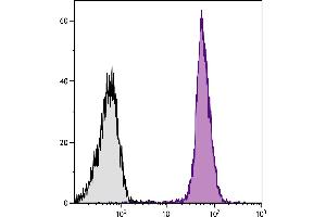 BALB/c mouse splenocytes were stained with Rat Anti-Mouse CD45-UNLB. (Ziege anti-Ratte Ig (Heavy & Light Chain) Antikörper (Alkaline Phosphatase (AP)))