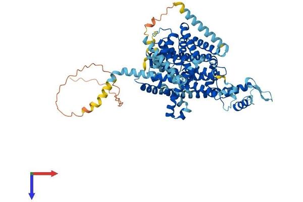 SLC28A2 Protein (AA 1-660) (His tag)