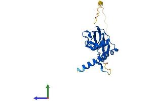 Protein Structure (PS) image for Von Hippel-Lindau Tumor Suppressor, E3 Ubiquitin Protein Ligase (VHL) (AA 1-213) protein (His tag) (ABIN7545100)