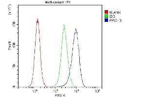 Flow Cytometry analysis of A431 cells using anti-PPID antibody (ABIN6719438).