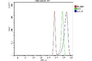 Flow Cytometry analysis of U87 cells using anti-EIF3A antibody (ABIN7599942).