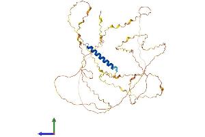 AlphaFold protein structure predicition of Human Recombinant CXorf49, Protein, UniprotID A8MYA2