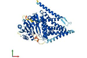 Protein Structure (PS) image for Hyaluronan Synthase 3 (HAS3) (AA 1-554) protein (His tag) (ABIN7562186)