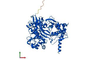 Protein Structure (PS) image for FGGY Carbohydrate Kinase Domain Containing (FGGY) (AA 1-552) protein (His tag) (ABIN7561924)