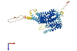SLC13A2 Protein (AA 1-592) (His tag)