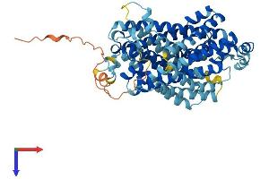 SLC11A1 Protein (AA 1-550) (His tag)