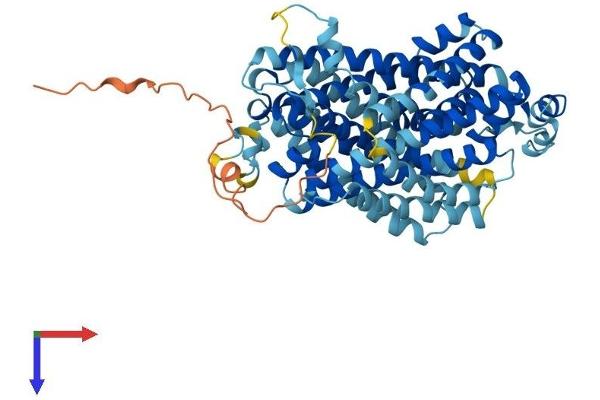 SLC11A1 Protein (AA 1-550) (His tag)