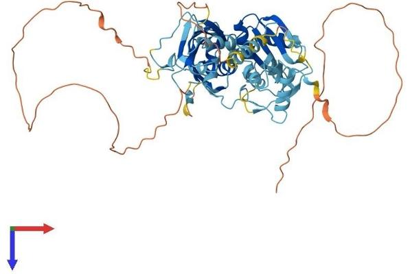 PTBP3 Protein (AA 1-552) (His tag)