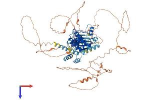 SNRK Protein (AA 1-765) (His tag)
