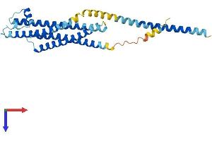 Syntaxin 1B Protein (STX1B) (AA 1-288) (His tag)