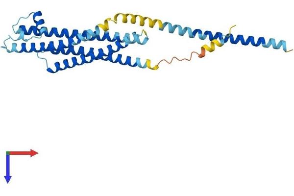 Syntaxin 1B Protein (STX1B) (AA 1-288) (His tag)