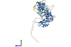 Protein Structure (PS) image for Heterogeneous Nuclear Ribonucleoprotein L-Like (HNRPLL) (AA 1-542) protein (His tag) (ABIN7548335)
