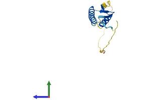 AlphaFold protein structure predicition of Mouse Recombinant Lage3 Protein, UniprotID Q9CR70 (LAGE3 Protein (AA 1-148) (His tag))