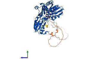 Protein Structure (PS) image for DPH1 Homolog (DPH1) (AA 1-438) protein (His tag) (ABIN7557483)