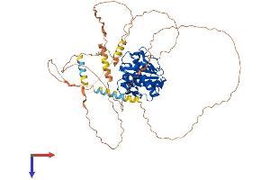 SENP2 Protein (AA 1-588) (His tag)