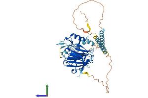 Protein Structure (PS) image for Ring Finger Protein 135 (RNF135) (AA 1-432) protein (His tag) (ABIN7551470)