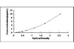 rho GDP Dissociation Inhibitor (GDI) alpha (ARHGDIA) ELISA Kit
