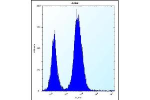 DULLARD Antibody (Center) (ABIN656732 and ABIN2845956) flow cytometric analysis of Jurkat cells (right histogram) compared to a negative control cell (left histogram). (CTDNEP1A Antikörper  (AA 131-160))
