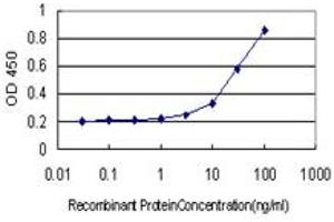 Detection limit for recombinant GST tagged NR0B1 is approximately 1ng/ml as a capture antibody. (NR0B1 Antikörper  (AA 361-470))