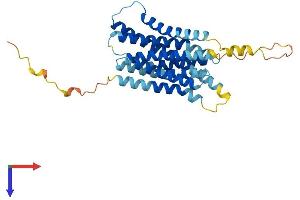 SLC39A1 Protein (AA 1-324) (His tag)