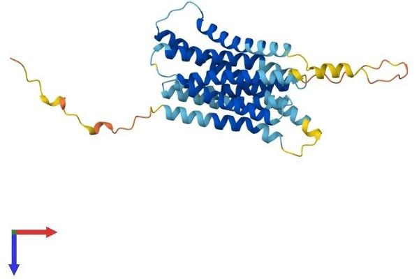 SLC39A1 Protein (AA 1-324) (His tag)