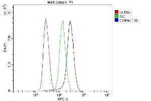 Flow Cytometry analysis of Jurkat cells using anti-CTNNA1 antibody (ABIN7600057). (CTNNA1 Antikörper  (AA 143-292))