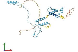 Protein Structure (PS) image for Intraflagellar Transport 46 (IFT46) (AA 1-301) protein (His tag) (ABIN7561251)