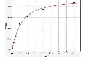 Typical standard curve (IREB2 ELISA Kit)