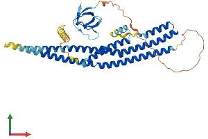 Protein Structure (PS) image for SH3-Domain GRB2-Like Endophilin B2 (SH3GLB2) (AA 1-395) protein (His tag) (ABIN7546054)