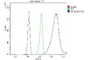 Flow Cytometry analysis of CACO-2 cells using anti-Krt20 antibody (ABIN7601133). (KRT20 Antikörper  (AA 29-431))