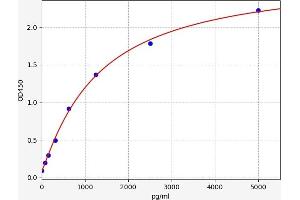 NFE2L1 ELISA Kit