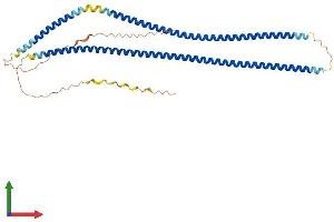 AlphaFold protein structure predicition of Human Recombinant KRT31 Protein, UniprotID Q15323