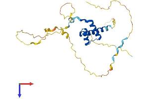 CDX1 Protein (AA 1-265) (His tag)
