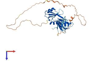 GRAP2 Protein (AA 1-330) (His tag)