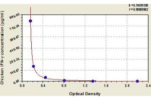 Interferon gamma ELISA Kit