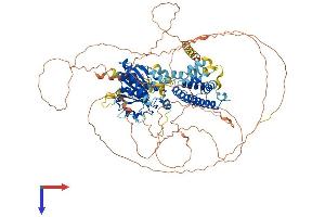 KANSL3 Protein (AA 1-903) (His tag)