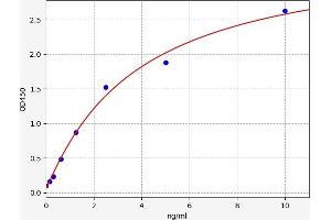 NCOA1 ELISA Kit