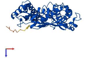 MAT1A Protein (AA 1-395) (His tag)