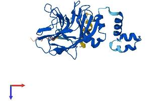 SPSB1 Protein (AA 1-273) (His tag)