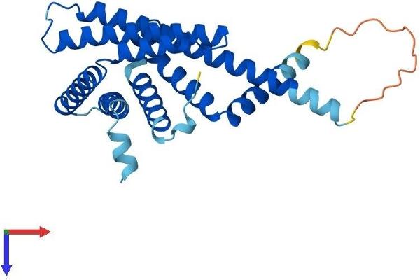 PEX11B Protein (AA 1-259) (His tag)