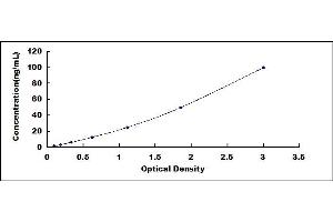 DSPP ELISA Kit