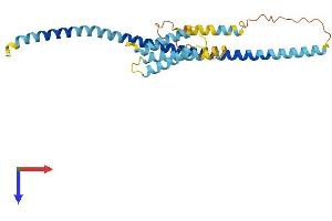 UBE2Z Protein (AA 1-259) (His tag)